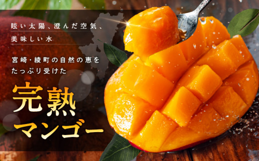 【訳あり】完熟マンゴー 2L×5玉（パック）【濃厚 高級 宮崎 果物 フルーツ 贈答 ギフト 甘い 先行受付 送料無料】【JA綾町】_A0114-108