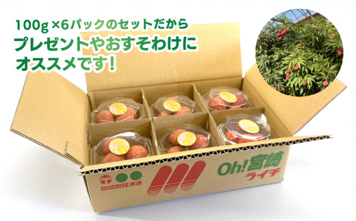 【数量限定】希少 綾生ライチ お裾分けセット  [６パック] 宮崎県 綾町産 ライチ 国産ライチ 果物 フルーツ 生ライチ 産地直送 期間限定 お中元 小分け 送料無料【JA綾町】_A0114-105