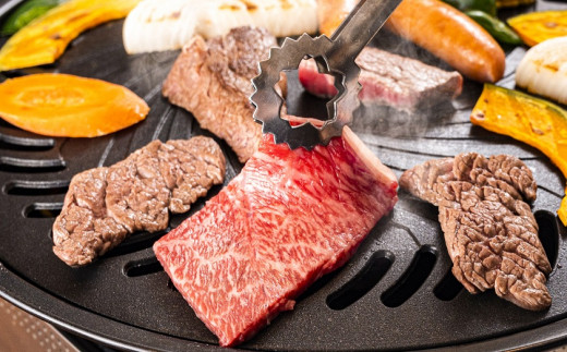 ç¶Ÿç çŒè ã»ãã 450g ããŒããã¥ãŒ 赀身 ã¢ã¢ ãã© ããŒã¹ A4A5ççŽ é»æ¯åç åžå° çè å®®åŽç éæç¡æ_A0013-017