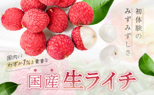 【先行予約/数量限定】希少 国産 綾生ライチ（化粧箱入り）  宮崎県 綾町産 ライチ 贈答 ギフト プレゼント 国産ライチ 果物 フルーツ 生ライチ 産地直送 期間限定 送料無料 お中元【JA綾町】_A0114-104
