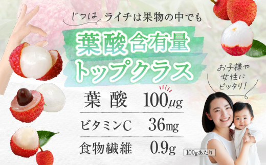 【先行予約/数量限定】希少 国産 綾生ライチ（化粧箱入り）  宮崎県 綾町産 ライチ 贈答 ギフト プレゼント 国産ライチ 果物 フルーツ 生ライチ 産地直送 期間限定 送料無料 お中元【JA綾町】_A0114-104