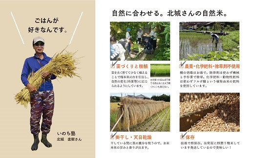 閾ェ辟カ邀ウ縺ョ邇邀ウ鬢 縺企、 閾ェ辟カ譬ス蝓ケ 辟。霎イ阮ャ 辟。蛹門ュヲ閧・譁 閾ェ辟カ譬ス蝓ケ 譬ス蝓ケ譛滄俣荳ュ_A0038-016
