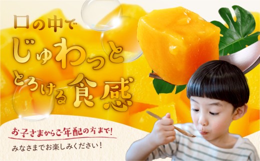 完熟マンゴー ２L×９玉（パック）【濃厚 宮崎 高級 果物 フルーツ 贈答 ギフト 甘い 送料無料 先行受付】【JA綾町】_A0114-103