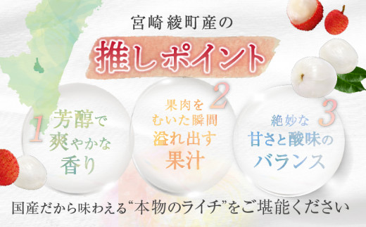 【先行予約/数量限定】希少 国産 綾生ライチ（化粧箱入り）  宮崎県 綾町産 ライチ 贈答 ギフト プレゼント 国産ライチ 果物 フルーツ 生ライチ 産地直送 期間限定 送料無料 お中元【JA綾町】_A0114-104