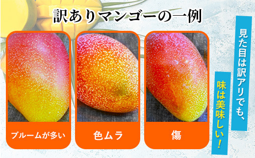 【訳あり】完熟マンゴー 2L×5玉（パック）【濃厚 高級 宮崎 果物 フルーツ 贈答 ギフト 甘い 先行受付 送料無料】【JA綾町】_A0114-108
