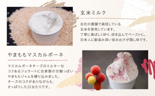 日時指定可能◎オーガニックタウン綾町から届く、季節のクラフトジェラート〈12個セット〉_A0093-003