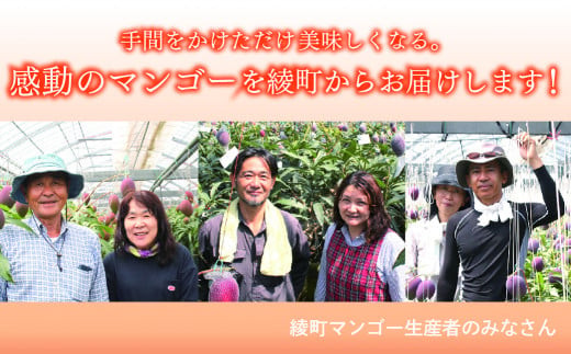 【先行予約/数量限定】完熟マンゴー ３L～４L×２玉（パック）濃厚 宮崎 高級 果物 フルーツ 贈答 ギフト 甘い 先行受付 送料無料【JA綾町】_A0114-230