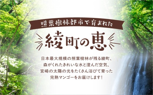 完熟マンゴー ２L×９玉（パック）【濃厚 宮崎 高級 果物 フルーツ 贈答 ギフト 甘い 送料無料 先行受付】【JA綾町】_A0114-103