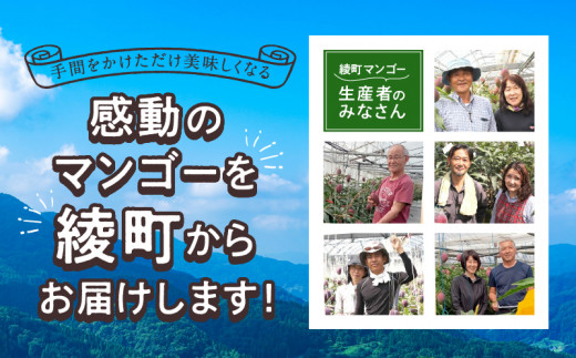 【訳あり】完熟マンゴー 2L×5玉（パック）【濃厚 高級 宮崎 果物 フルーツ 贈答 ギフト 甘い 先行受付 送料無料】【JA綾町】_A0114-108