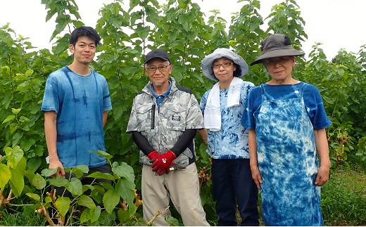 蟷サ 繧キ繝ォ繧ッ 蟆冗浹荳ク 縺セ繧繧オ繝繧ッ 3蛟句・繧 縺セ繧邇 陏 郢ュ 邨ケ 繝輔ぉ繧、繧ケ繧ア繧「_A0027-017