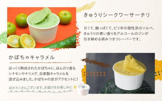 日時指定可能◎オーガニックタウン綾町から届く、季節のクラフトジェラート〈12個セット〉_A0093-003