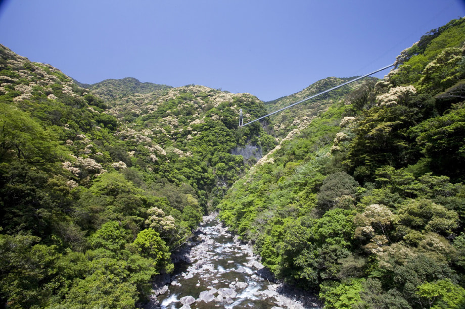 綾町の照葉樹林とユネスコ エコパーク推進のための事業