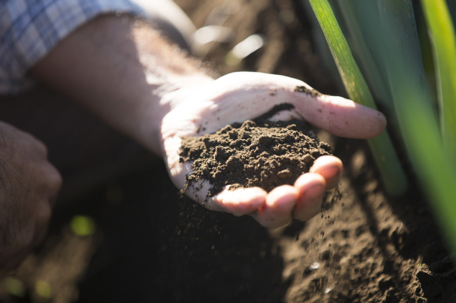綾町が取り組む自然生態系農業に関する事業