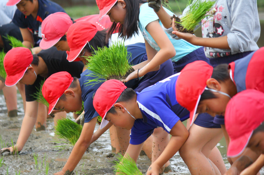 綾町の次代を担う青少年育成事業