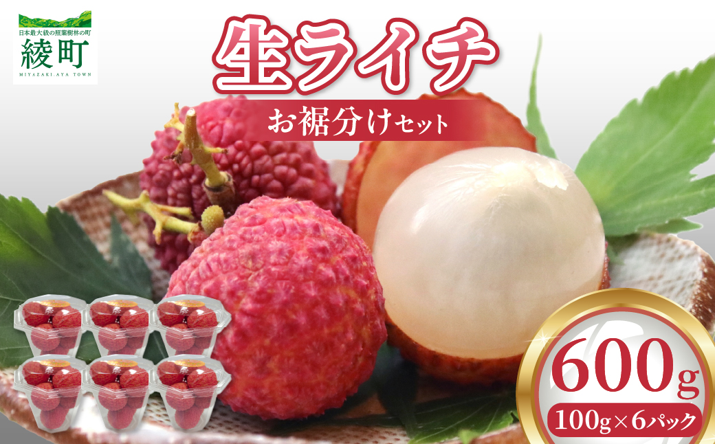【数量限定】希少 綾生ライチ お裾分けセット  [６パック] 宮崎県 綾町産 ライチ 国産ライチ 果物 フルーツ 生ライチ 産地直送 期間限定 お中元 小分け 送料無料【JA綾町】_A0114-1051