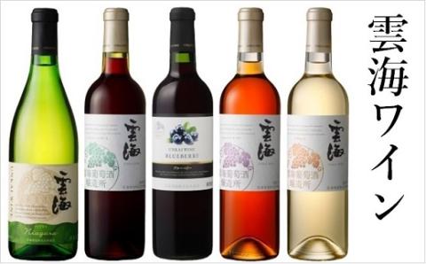 雲海ワインセット5種 国産100％ 赤 白 飲み比べ【雲海酒造】_A0114-061