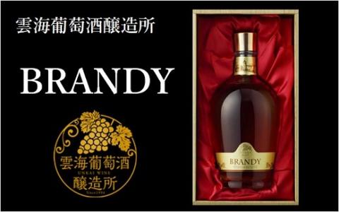 綾ブランデー 720ml 40度 国産 100% ブランデー 蒸留酒 洋酒 贈答 ギフト プレゼント 雲海 雲海葡萄酒醸造所【雲海酒造】_A0114-065