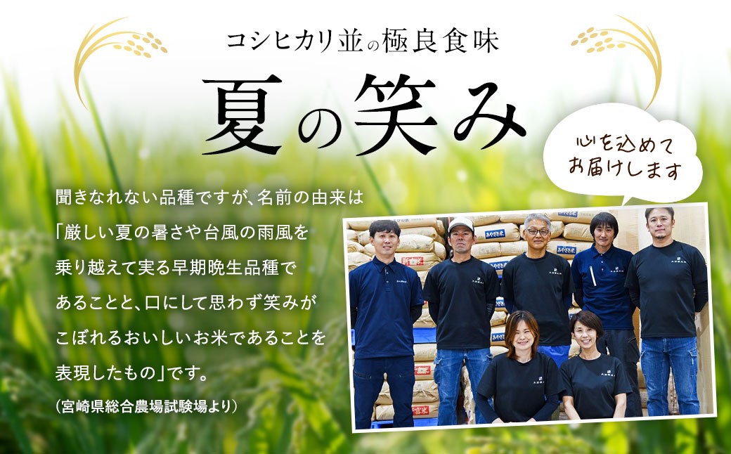 縲千┌豢礼アウ縲 シ懊メ繝」繝繧ッ莉假シ 譁ー邀ウ 蝗ス逕」 莉、蜥8蟷エ逕」 螟上ョ隨代∩ 10kg 螳ョ蟠守恁逕」 縺顔アウ 逋ス邀ウ 縺翫☆縺吶a 邁。蜊 縺秘」ッ 蠑∝ス 邊セ邀ウ 縺翫↓縺弱j
