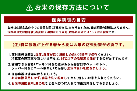 数量限定 米 訳あり 国産 夏の笑み 事業者支援 お米 精米 人気 家庭用 業務用 ご飯 おかず 弁当