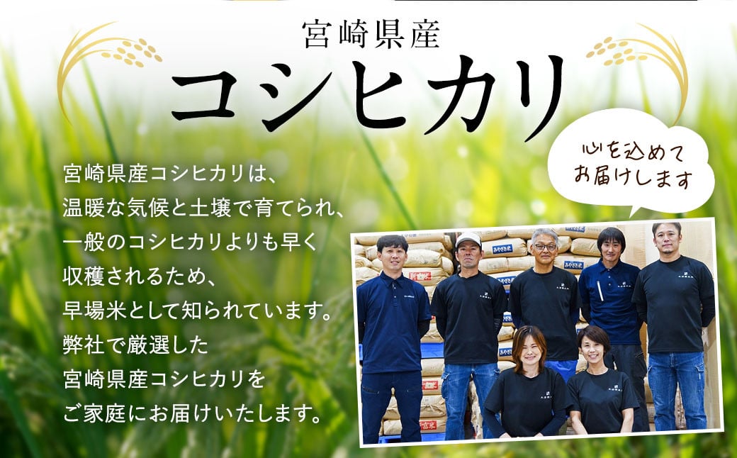 【12か月定期便】無洗米 ＜チャック付＞ 新米 国産 令和8年産 こしひかり コシヒカリ 5kg×12回 宮崎県産 お米 白米 おすすめ 簡単 ご飯 弁当 精米 おにぎり