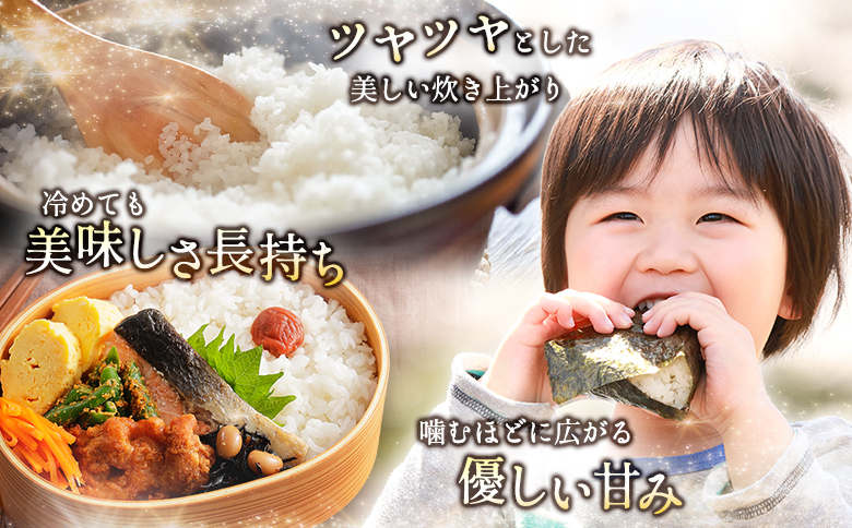 数量限定 米 訳あり 国産 ひのひかり 事業者支援 お米 ヒノヒカリ 精米 人気 家庭用 業務用 ご飯 おかず 弁当