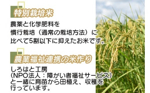 ＜令和6年度 特別栽培米「粋」3種食べ比べ （コシヒカリ3kg、キヌムスメ3kg、ヒノヒカリ3kg）＞※入金確認後、翌月末迄に順次出荷します。 