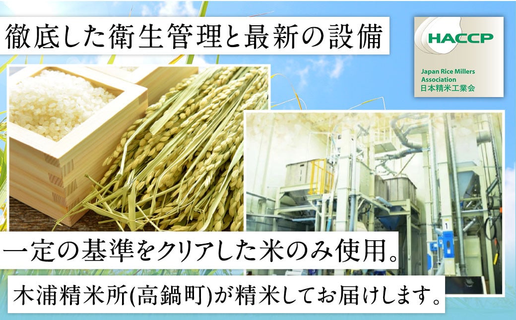 シ應サ、蜥7蟷エ逕」 螳ョ蟠守恁逕」繧ウ繧キ繝偵き繝ェ シ育┌豢礼アウシ 5kgテ5陲 險25kg 繝√Ε繝繧ッ莉倥″邀ウ陲具シ槭♀逕ウ霎シ縺ソ縺ョ鄙梧怦譛ォ縺セ縺ァ縺ォ鬆谺。蜃コ闕キ 縺薙@縺イ縺九j 繧ウ繧キ繝偵き繝ェ 縺顔アウ 邀ウ 繧ウ繝。 蝗ス逕」