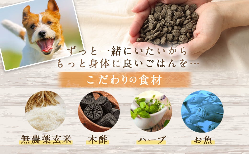 ＜おさかな華 500g＞翌月末迄に順次出荷