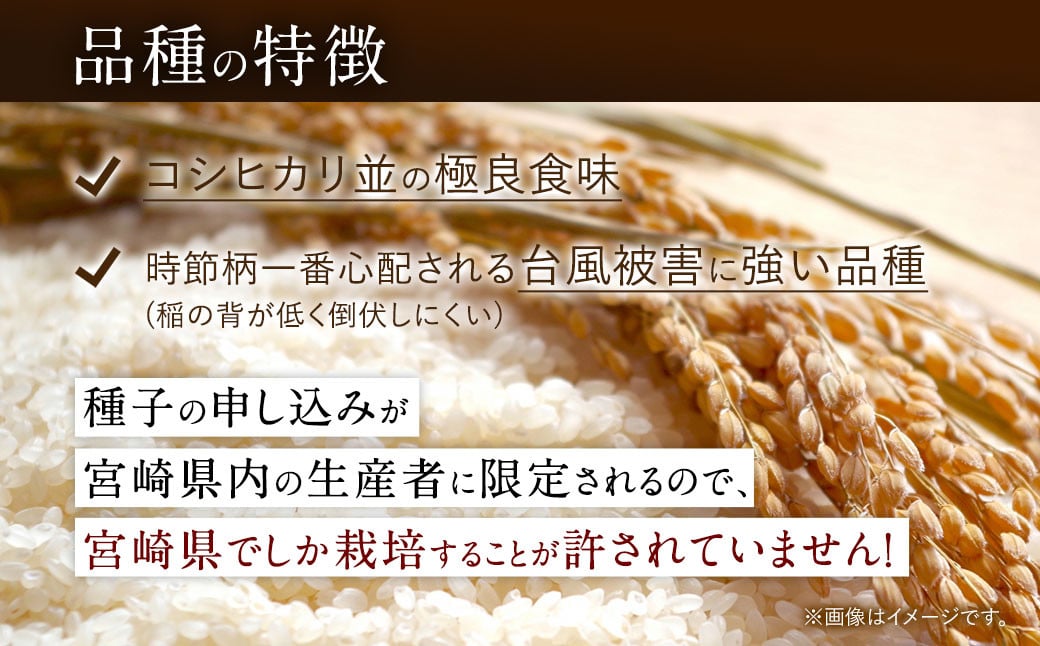 ＜【10ヶ月定期便】令和6年産 宮崎県産 夏の笑み（無洗米）5kg＞お申込みの翌月中旬以降に第1回目発送（8月は下旬頃） 米 夏の笑み 無洗米 精米 希少 品種 白米 お米 ご飯 宮崎県産