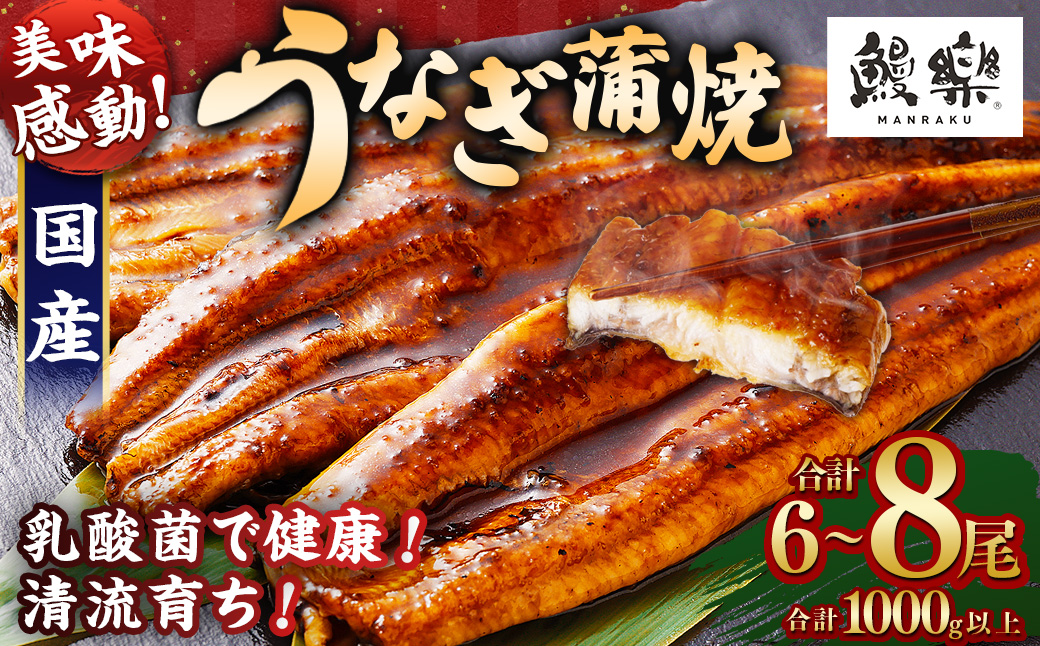 極上鰻！うまい！＜うなぎ 国産 うなぎ蒲焼 6～8尾 計1kg以上＞ふるさと納税 うなぎ 高級 長蒲焼 鰻 夏バテ防止 ウナギ 鰻 かば焼き 蒲焼き 丑の日 タレ 宮崎県産 国産 九州産 宮崎県 高鍋町 送料無料