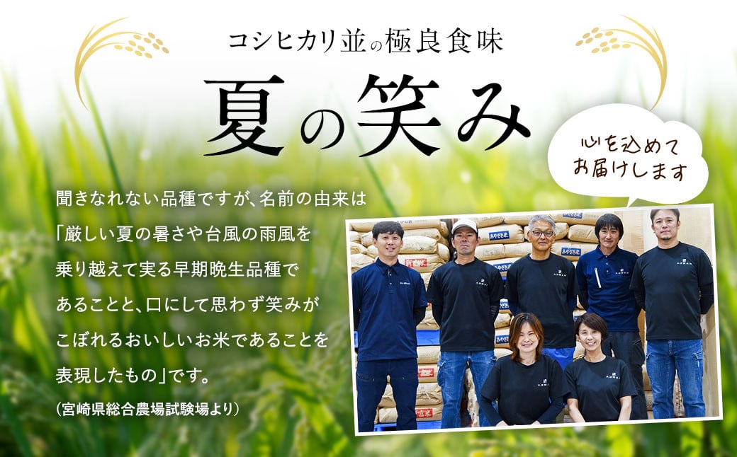 ＜【9ヶ月定期便】令和6年産 宮崎県産 夏の笑み（無洗米）5kg＞お申込みの翌月中旬以降に第1回目発送（8月は下旬頃） 米 夏の笑み 無洗米 精米 希少 品種 白米 お米 ご飯 宮崎県産