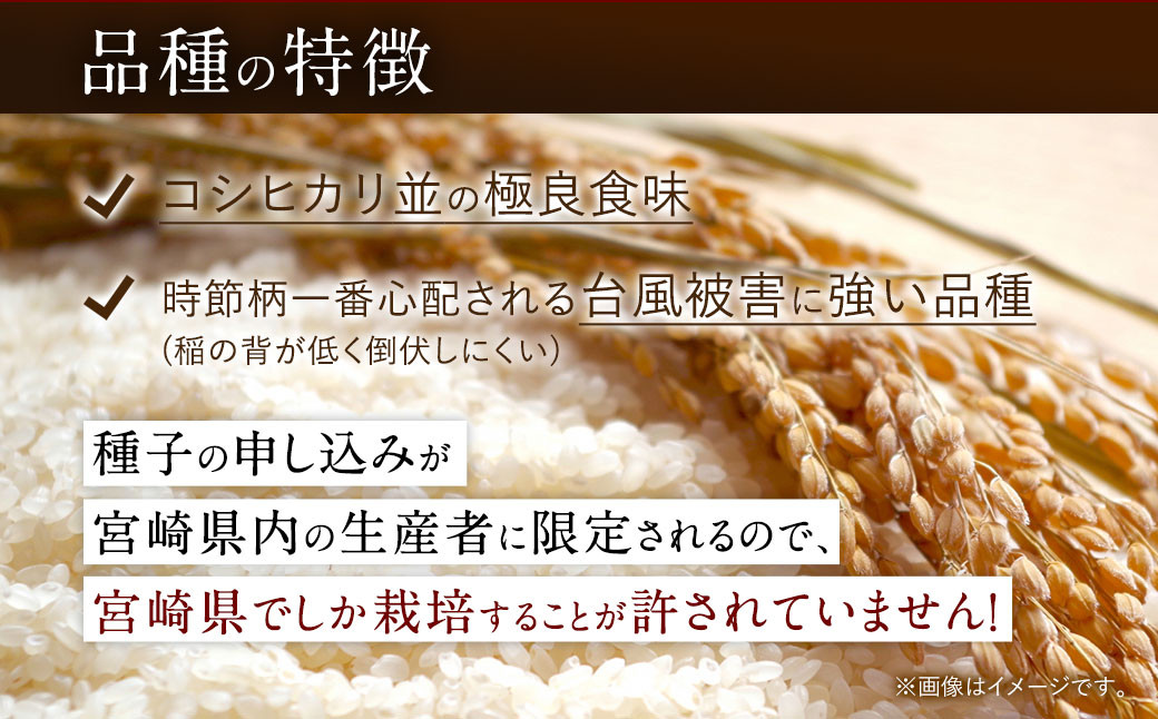 ＜【2025年1月発送】令和6年産 宮崎県産夏の笑み 無洗米真空パック2kg×5袋＞