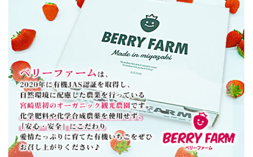 ＜宮崎県産 有機いちご250g×2パック＞※入金確認後、2025年1月～3月迄に順次出荷します。