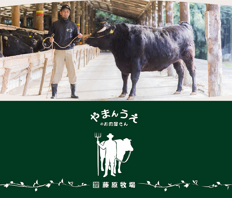 シ懆陸蜴溽鴬蝣エ縺ョ譛画ゥ溷ョ檎溽央縺オ繧灘閧・繝上シ繝也鴬蝣エ縺ョ繧√$縺ソシ樒ソ梧怦譛ォ霑縺ォ鬆谺。蜃コ闕キ 2Lシ育エ700gシ嘉6陲 險12L 螳カ蠎ュ闖懷恍 繝励Λ繝ウ繧ソ繝シ闖懷恍 譛画ゥ溷ョ檎溽匱驟オ蝣閧・ 蝣閧・