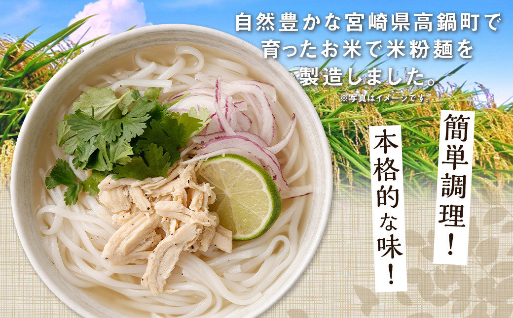 〈米粉麺 フォー 12食 セット（麺のみ +4パック）〉翌月末迄に順次出荷 本格 簡単 麺 スープ ライスヌードル