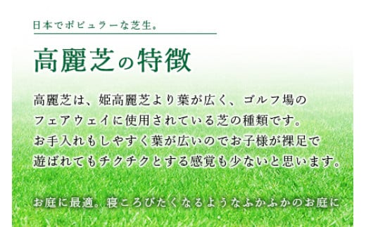 ＜高麗芝 2平方メートル＞4月下旬までに発送