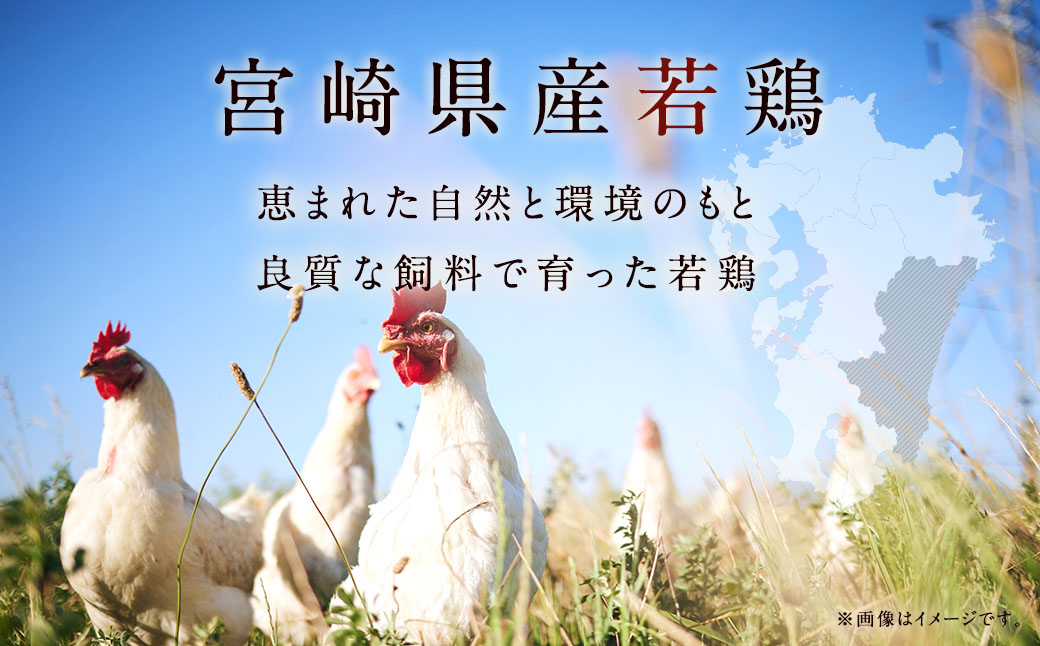 【2025年2月発送】＜宮崎県産若鶏3種 計6kgセット＞