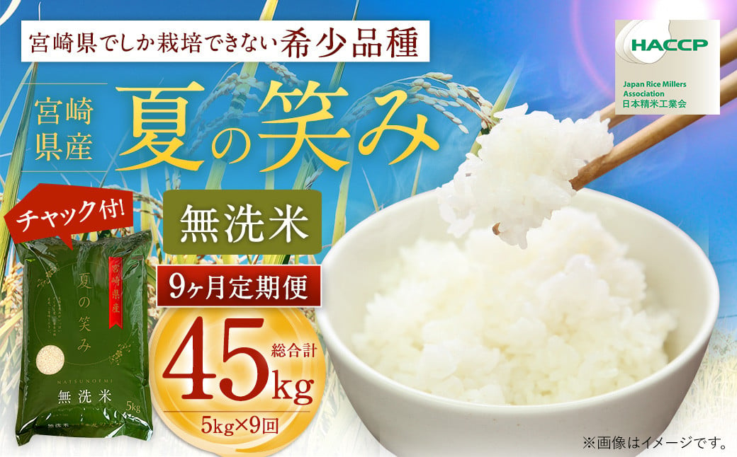 ＜【9ヶ月定期便】令和6年産 宮崎県産 夏の笑み（無洗米）5kg＞お申込みの翌月中旬以降に第1回目発送（8月は下旬頃） 米 夏の笑み 無洗米 精米 希少 品種 白米 お米 ご飯 宮崎県産