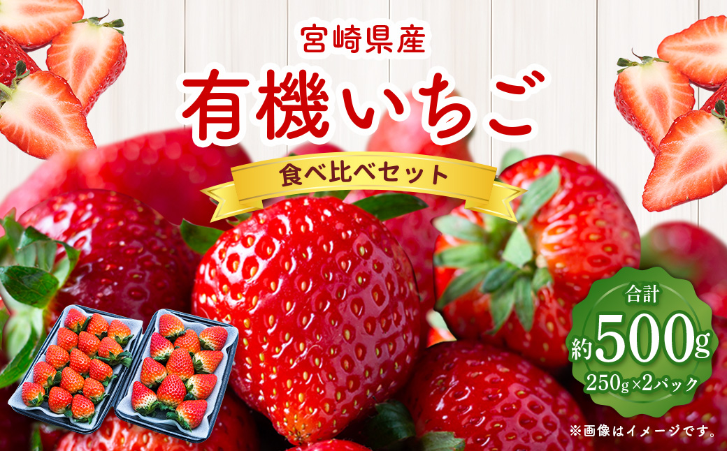 ＜宮崎県産 有機いちご食べ比べセット＞※入金確認後、2025年1月～3月迄に順次出荷します。 計500g いちご 苺 食べ比べ セット