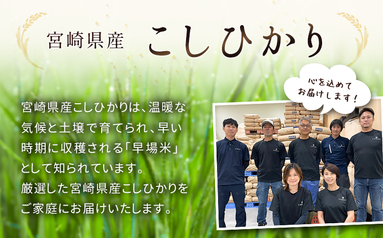 【事業者支援】 訳あり 無洗米 米 国産 令和7年産 こしひかり コシヒカリ 3kg 宮崎県産 お米 白米 おすすめ 簡単 ご飯 弁当 精米 おにぎり