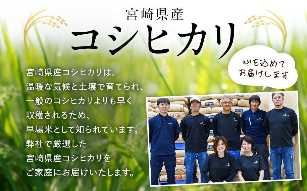 シ應サ、蜥7蟷エ逕」 螳ョ蟠守恁逕」繧ウ繧キ繝偵き繝ェシ育┌豢礼アウシ5kgテ1陲 險5kg 繝√Ε繝繧ッ莉倥″邀ウ陲具シ 縺顔筏霎シ縺ソ縺ョ鄙梧怦譛ォ縺セ縺ァ縺ォ鬆谺。蜃コ闕キ 邀ウ 縺顔アウ 逋ス邀ウ 辟。豢礼アウ 螳ョ蟠守恁 鬮倬豪逕コ