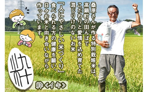 ＜令和5年度 特別栽培米「粋」コシヒカリ 10kg＞ ※入金確認後、翌月末迄に順次出荷します。 米 こしひかり