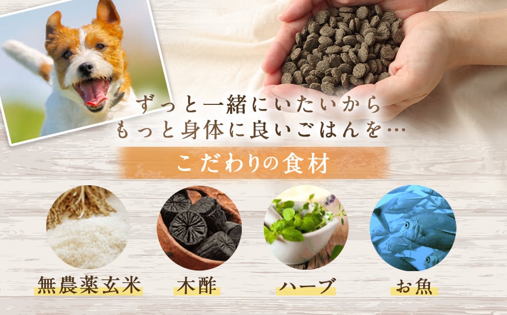 ＜ファインおさかな華 1kg＞翌月末迄に順次出荷