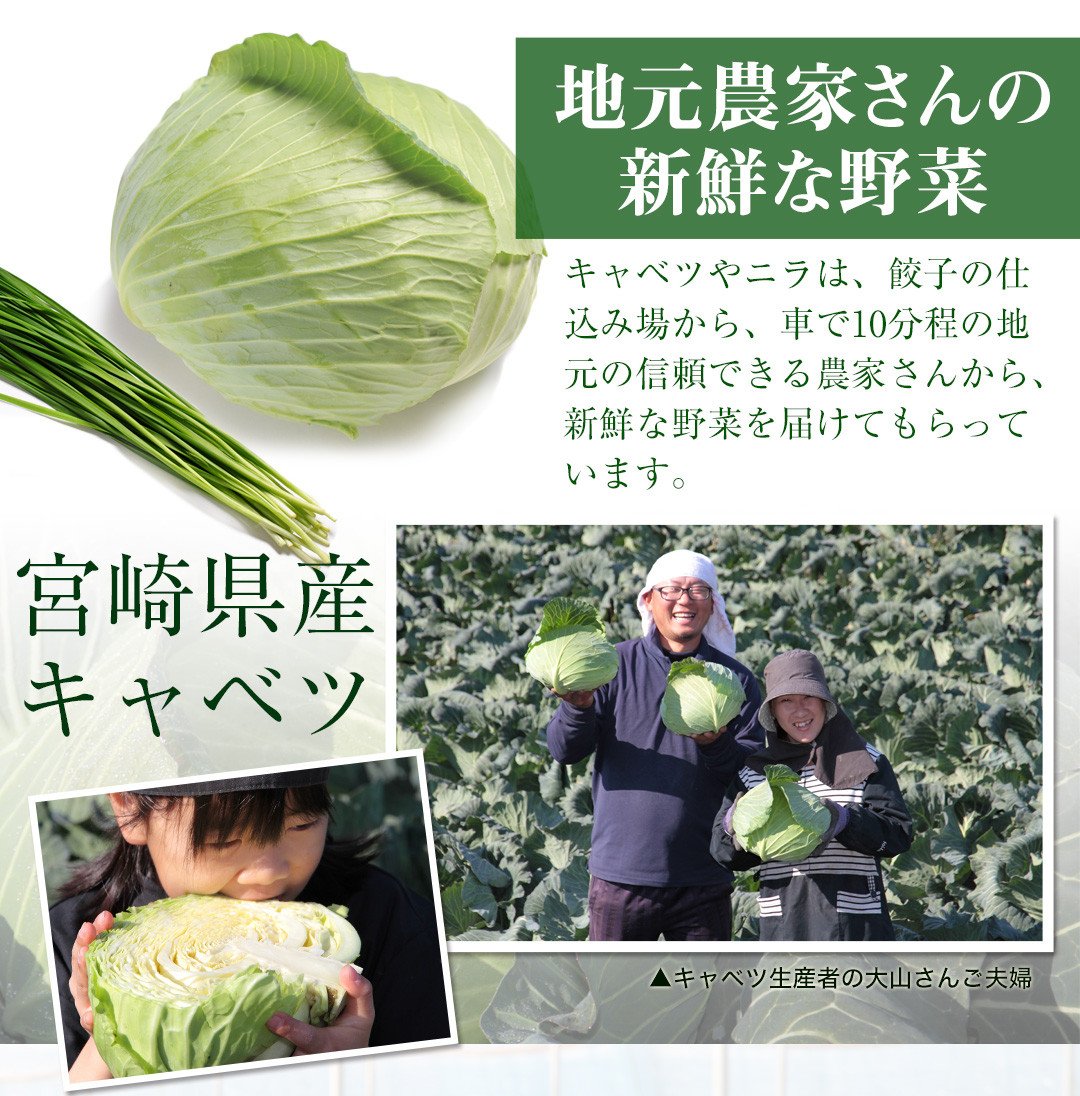 【宮崎空港で大人気!】＜馬渡のもっちり 餃子 80個＞2～3週間以内に順次出荷 餃子の馬渡 ぎょうざ 牛肉 豚肉 宮崎餃子 特産品