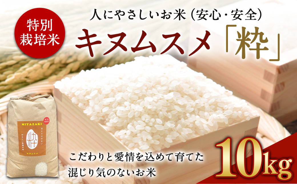  ＜令和6年度 特別栽培米「粋」キヌムスメ 10kg＞ ※入金確認後、翌月末迄に順次出荷します。