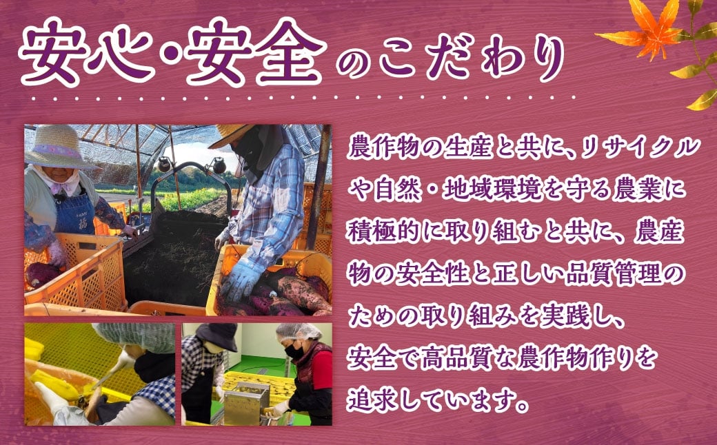 【有機JAS認証済み!】＜宮崎県産 有機ほしいも（紅はるか）400g（100g×4袋）＞翌月末迄に順次出荷 干し芋 ほし芋 干しいも 芋 いも お芋 サツマイモ さつまいも さつま芋 紅はるか お菓子 菓子 和菓子 宮崎県 高鍋町