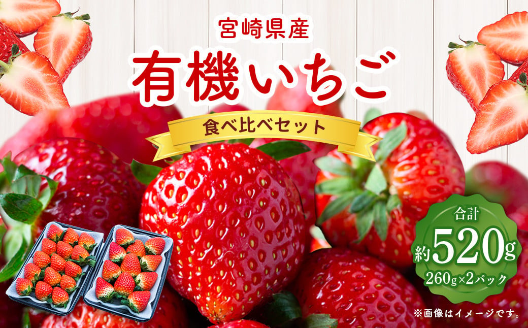 ＜宮崎県産 有機いちご食べ比べセット＞※入金確認後、2025年1月～3月迄に順次出荷します。 計520g いちご 苺 食べ比べ セット