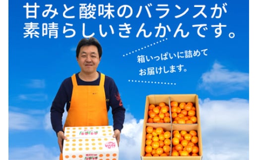 ＜“厳選”完熟きんかん「たまたま」2L×3kg 1箱＞2024年2月上旬〜2月下旬迄に順次出荷 金柑 柑橘 果物