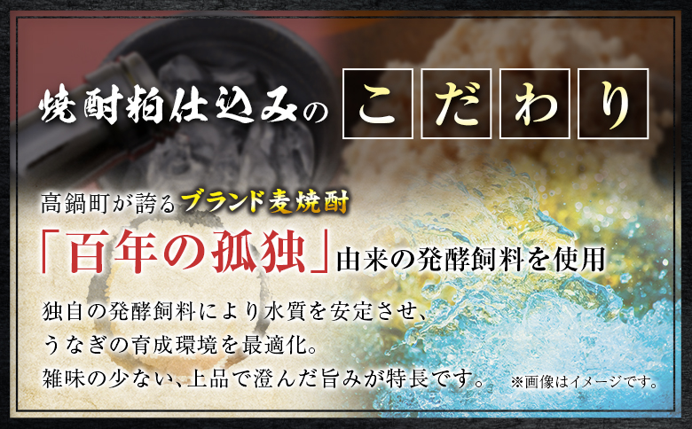 うなぎ 蒲焼 定期便 ＜計3回＞ 鰻 2尾 （計960g） 国産 ウナギ 3か月 隔月 人気 ギフト 贈答品 おすすめ 小分け 宮崎県 高鍋町 名物