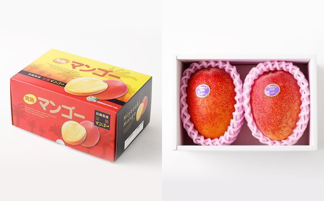 ＜宮崎県 完熟マンゴー4L×2玉 1kg＞2026年4月上旬～7月上旬までに順次出荷 マンゴー 完熟 果物 くだもの フルーツ 高鍋町